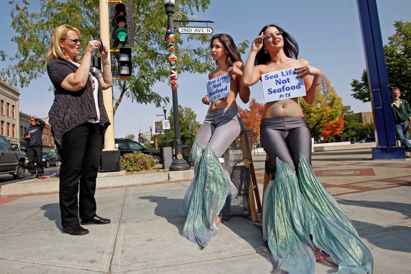 charlotte erwin add topless mermaids photo