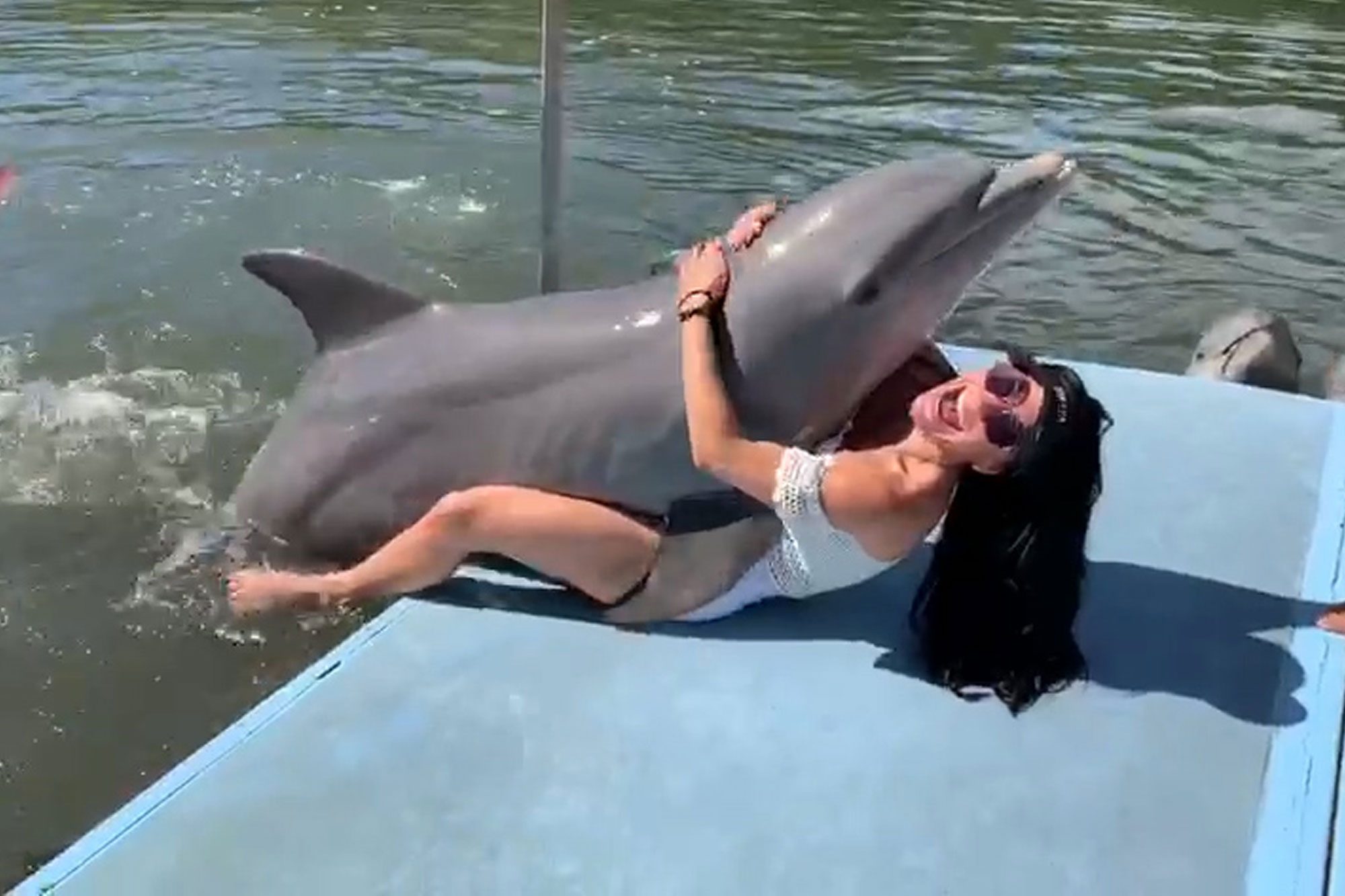 alexis buck add dolphin human porn photo